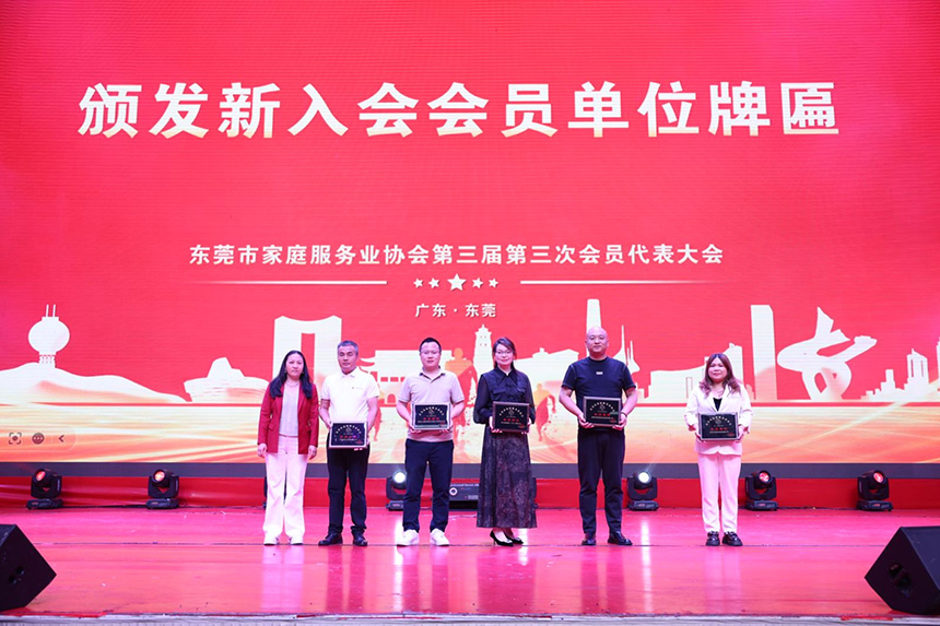 图片6